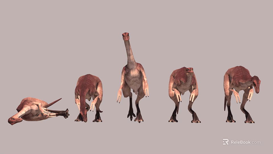 Realistic Reptile Models Showcasing Multiple Different Standing Lying And Resting Poses 3d model 