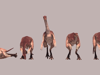 Next Age Dinosaur Ostrich Dragon model