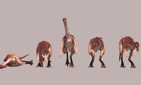 Next Age Dinosaur Ostrich Dragon 3d model