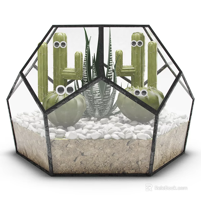 Decorative Hexagonal Glass Vase With Cactus Aloe Vera And White Pebbles 3d model 