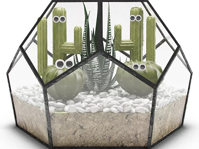 Decorative Hexagonal Glass Vase With Cactus Aloe Vera And White Pebbles 3d model