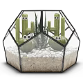 Decorative Hexagonal Glass Vase With Cactus Aloe Vera And White Pebbles