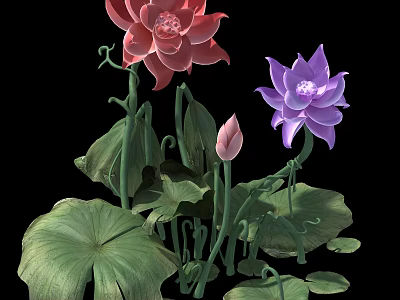 Pink and Purple Blooming Lotus Flowers with Green Leaves and a Bud 3d model