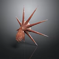 Unique Starfish With Multiple Sharp Red Brown Spikes And Textured Body