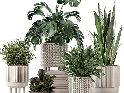 Modern Indoor Potted Plants With Monstera Fern Aloe And Ribbed Textured Ceramic Pots 3d model