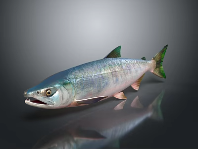 Shiny Silver Fish with Green Fins and Tail Open Mouth on Gray Background and Reflection 3d model