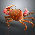 Vibrant Orange Crab With Pink Claws On Dark Background Detailed Close up View