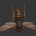 Wasp With Yellow And Black Striped Body Red Legs And Transparent Wings On Dark Background