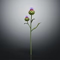 3D Rendered Thistle Plant With Two Buds Green Stem On Dark Background