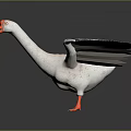 White Goose With Spread Wings Orange Beak And Orange Feet Standing On Dark Background