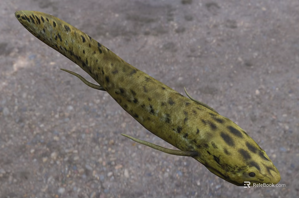 Black Spotted Yellow Aquatic Animal Fish With Slender Body And Fins 3d model 