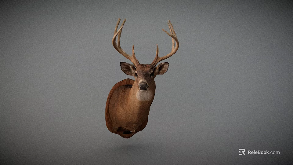 Realistic Deer Head Taxidermy Mount Isolated on Gray Background for Home Decoration 3d model 