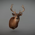 Realistic Deer Head Taxidermy Mount Isolated on Gray Background for Home Decoration