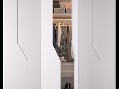 Modern White Cabinet Interior Design With Hanging Area Drawers And Storage 3d model