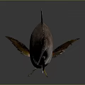 Fish Freshwater Fish Sea Fish Animal Game Animal Cartoon Animal Realistic Animal 3d model