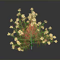 Elegant Vibrant Flowering Plant With Lush Green Leaves And Delicate Pink Flowers