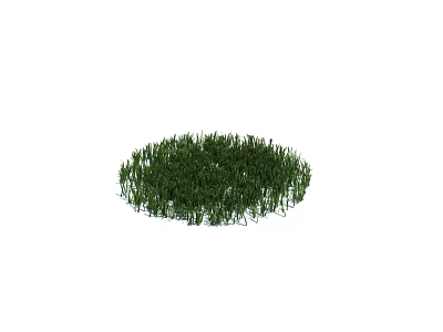 Lush Green Circular Grass Patch With Fresh Natural Texture And Even Growth 3d model