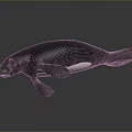 3D Rendered Manatee With Smooth Black Body And Flippers Underwater Creature Model
