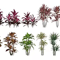 Modern Single Plant Variant Leaf Tree Jujuanthus Bamboo 3d model