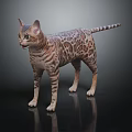 Bengal Cat With Spotted Fur Standing On Dark Reflective Surface 3d model