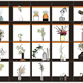 Various Decorative Vases With Different Flowers On Multiple Lighted Display Shelves