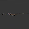 Wooden And Stone Decorative Branches In Various Colors Natural Shapes With Reflections On Black Background