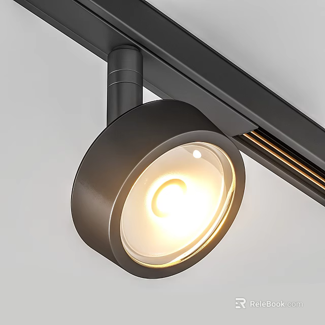 Modern Black Track Mounted Spotlight with Warm Illuminated Light Fixture for Home 3d model 