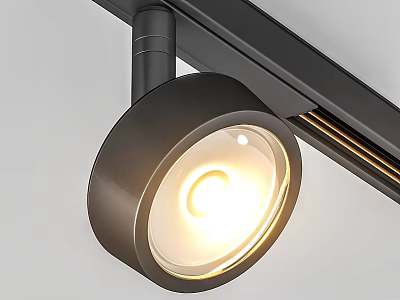 Modern Black Track Mounted Spotlight with Warm Illuminated Light Fixture for Home 3d model