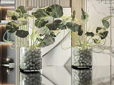 Transparent Glass Vases With Green Leaf Plants And Pebbles For Interior Decor 3d model