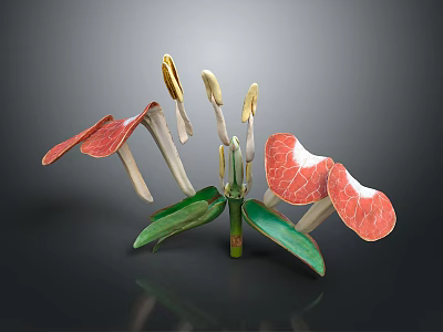 Vibrant Exotic Plant With Red Petals Green Leaves And Golden Stamens Design 3d model