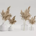 White Ceramic and Clear Glass Vases with Pampas Grass Arrangement on Neutral Background