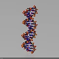 DNA Double Helix Medical Device with Blue Red Black Orange Spheres for Genetic Analysis Research