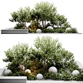 Modern Shrub Outdoor Plant 3d model