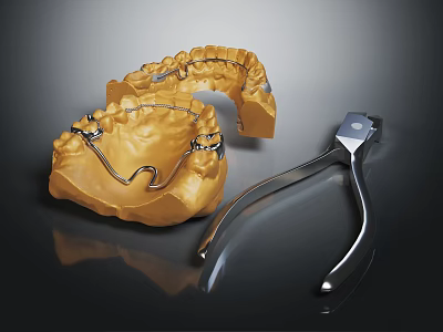 High Quality Dental Medical Devices with Metallic Denture Base and Precision Dental Pliers 3d model