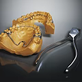 High Quality Dental Medical Devices with Metallic Denture Base and Precision Dental Pliers