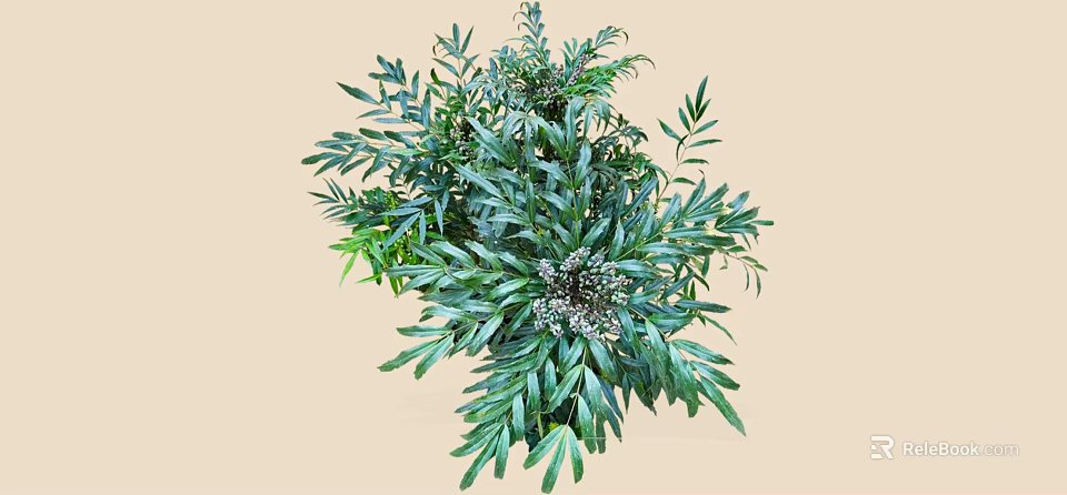 Lush Green Shrub with Dense Vibrant Foliage and Healthy Natural Leaves 3d model 