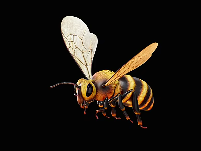Detailed Bee With Yellow And Black Stripes Transparent Wings Long Antennae And Segmented Body 3d model