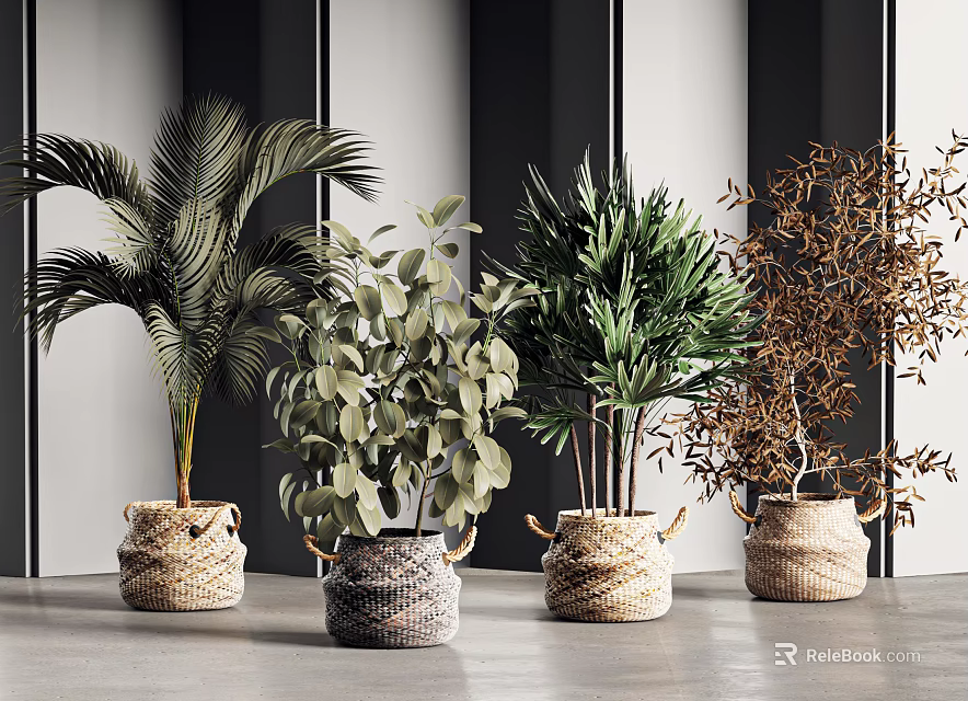 Modern Interior Decor With Various Potted Plants In Woven Baskets And Green Leaves 3d model 