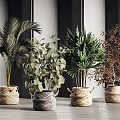 Modern Interior Decor With Various Potted Plants In Woven Baskets And Green Leaves