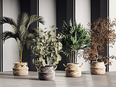Modern Interior Decor With Various Potted Plants In Woven Baskets And Green Leaves 3d model