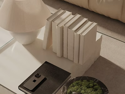 Decorative Ornament Set With Table Lamp Stacked Books Leather Notebook And Moss Plant Coffee Table 3d model