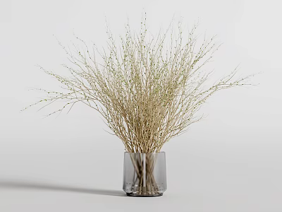 Clear Glass Vase Holding Dried Decorative Twigs On White Minimalist Background 3d model