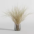 Clear Glass Vase Holding Dried Decorative Twigs On White Minimalist Background
