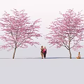 Fresh Picnic Food Under Pink Blossom Trees With People Enjoying Outdoors