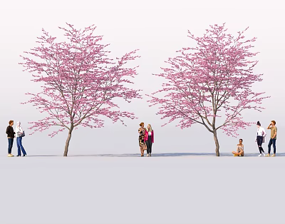 Fresh Picnic Food Under Pink Blossom Trees With People Enjoying Outdoors 3d model