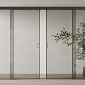Modern Glass Sliding Doors with Black Frame and Indoor Plant Interior