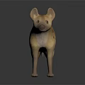 Realistic Spotted Hyena 3D Model Standing With Lifelike Spots And Pose