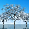 Snow Covered Deciduous Trees With Blue Sky White Clouds And Water Reflection 3d model