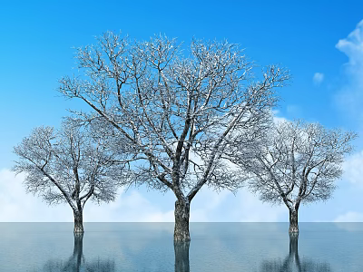 Snow Covered Deciduous Trees With Blue Sky White Clouds And Water Reflection 3d model