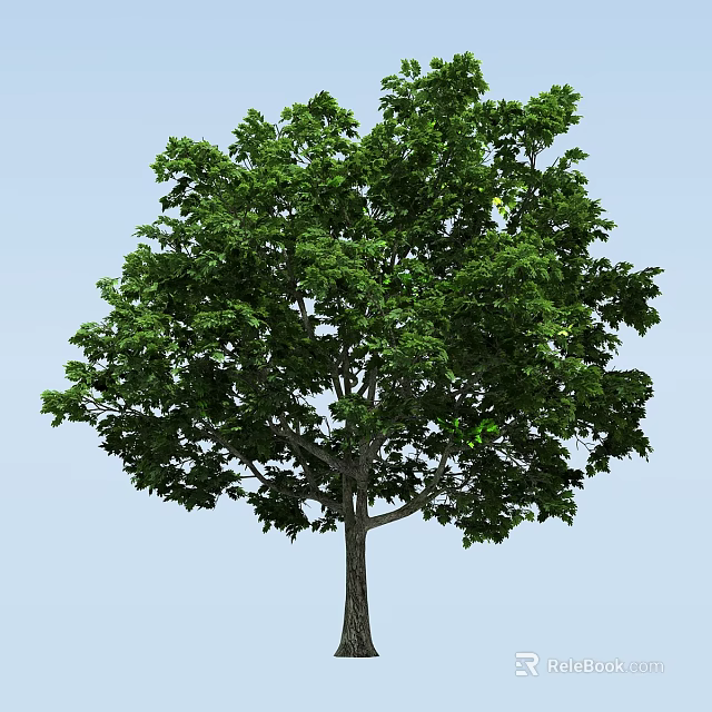 Lush Green Arbor With Dense Foliage Strong Trunk And Blue Sky Background 3d model 